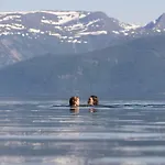 Fjord Hotel&apartments 3*