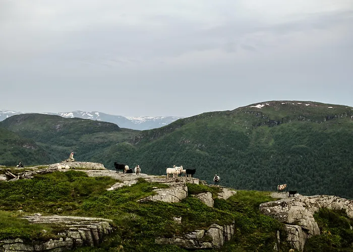 Fjord & Lavik (Sogn og Fjordane)