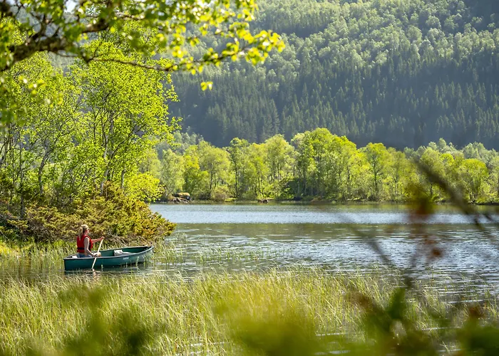 Fjord & 3* Лавик