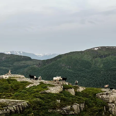 Fjord & Lavik (Sogn og Fjordane)